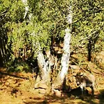 Appartamento Kroppental *
