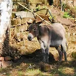 Kroppental Appartamento