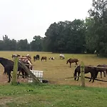 Kroppental