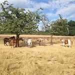 Appartamento Kroppental
