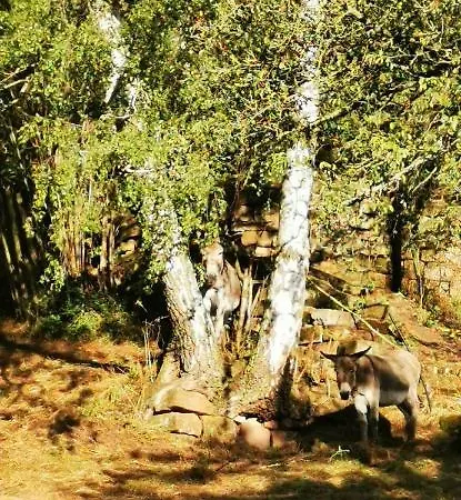 Appartement Kroppental *