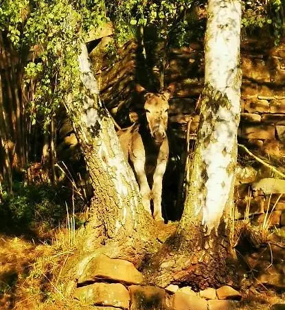 Kroppental * Naumbourg