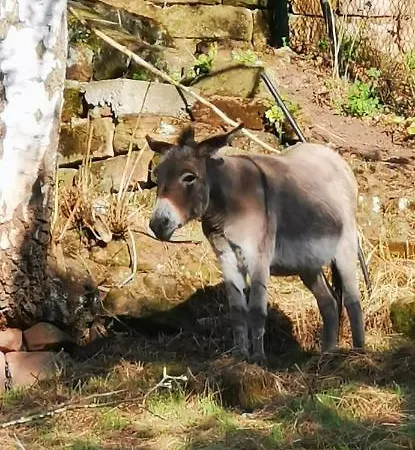 Kroppental Appartement