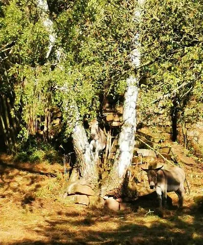 Lejlighed Kroppental *