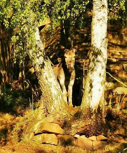 Kroppental * Naumburg (Saale)